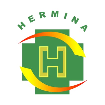 RS Hermina