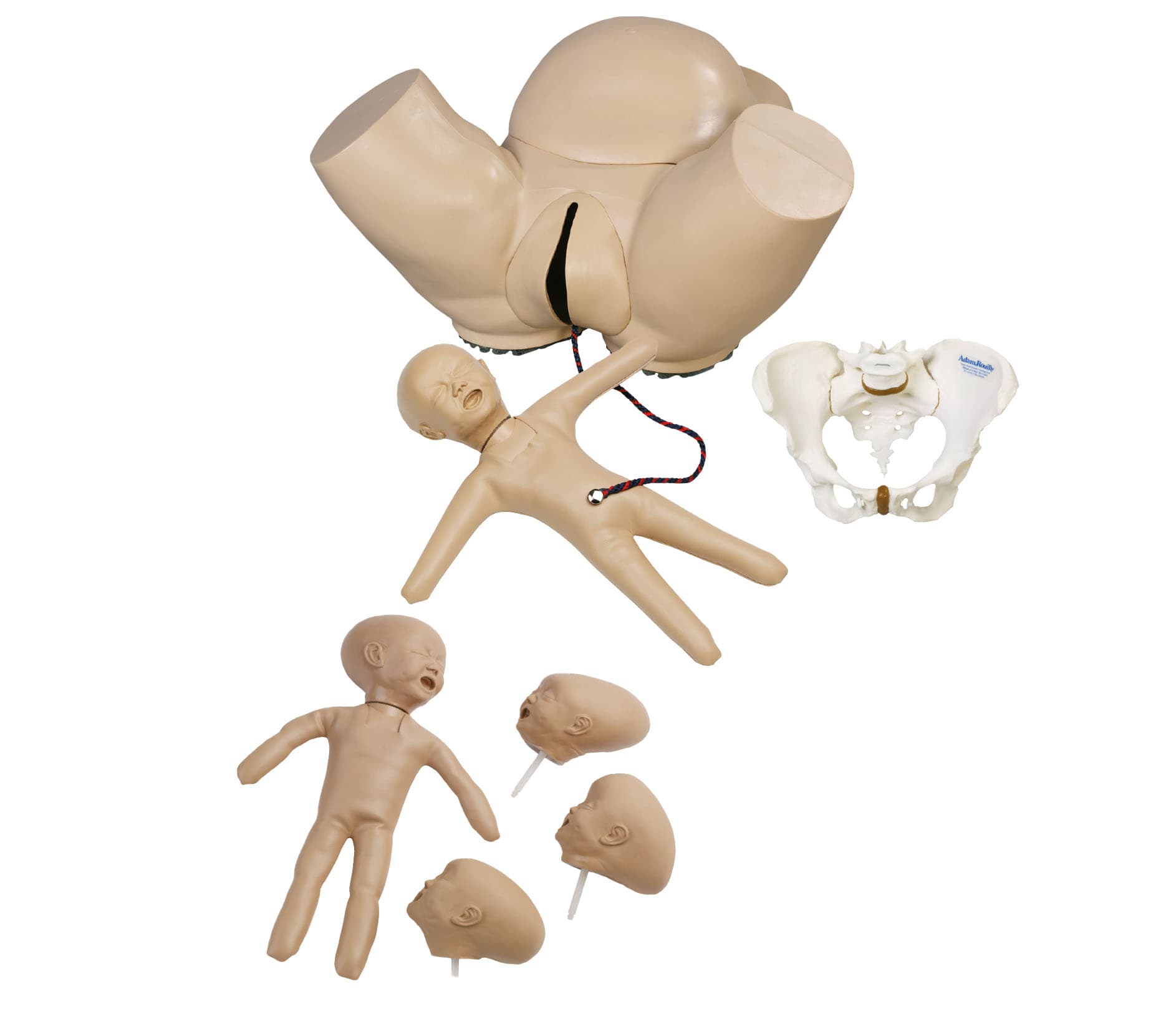 Obstetric Phantom Set (AR57)