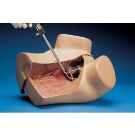 Gyne Skills Trainer (S504.100.PK)