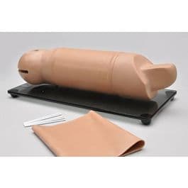 Reproductive Implant Arm (S519.PK)