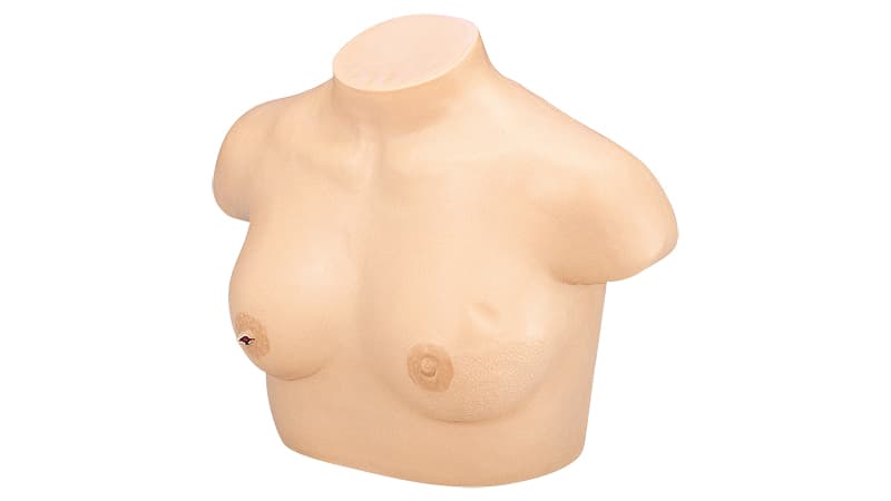 Breast Cancer Model (LM- 018)