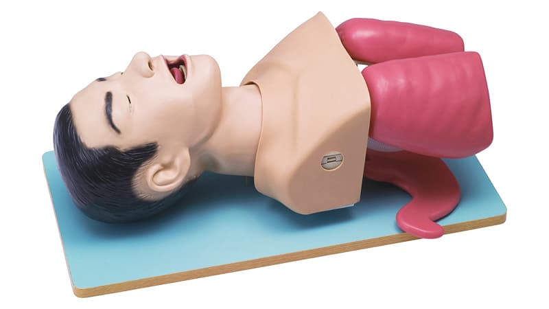 Airway Management (LM-059)