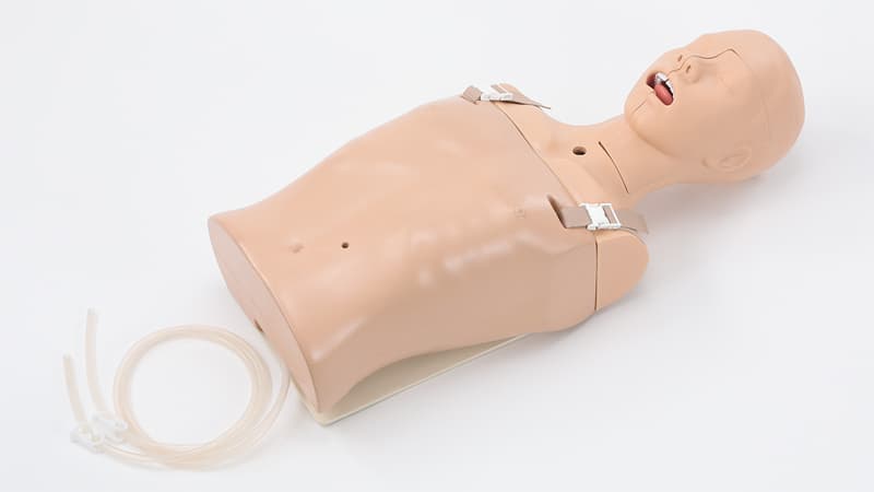 Suction/Feeding (LM-097B)