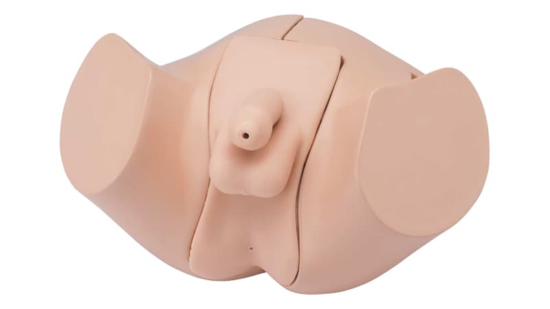 Cath/Enema Sim (LM-109M/F)