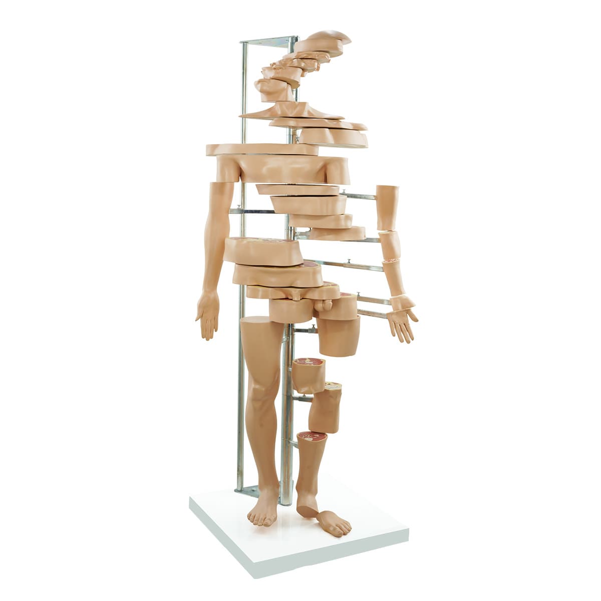 Body Sections (KPA 18)